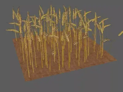 wheat Field 3D 3D model