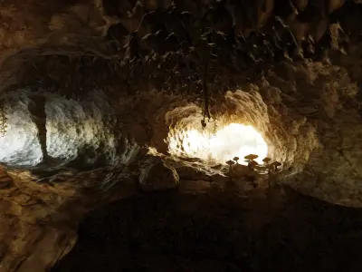 Cave V11 - Complex Cave Environment with Water and Vegetation 3D model