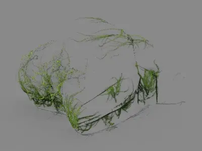 Climbed rattan - stone 01 3D model