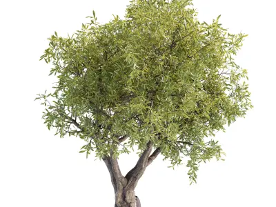 tree 01 3D model