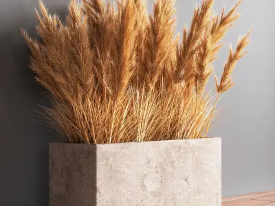 Indoor Plant Set 54  pampas 3D model