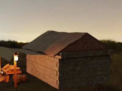 The Grocery house in night sky 3D model