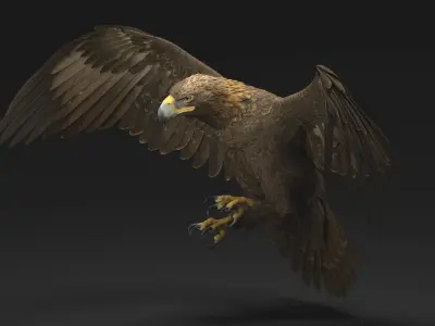  Golden Eagle Animated 