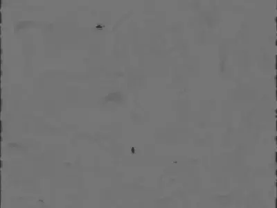  Voidfang Shadow Flame Wolf Creature 3D Model Dark Fantasy  Low-poly 3D model