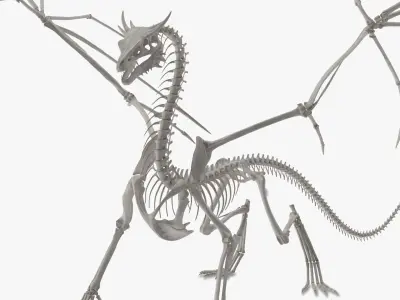  Fantasy Dragon Creature and Skeleton Collection 