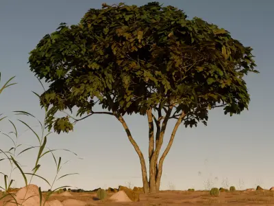 Tree in desert 3D model