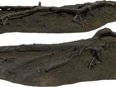 Rooted Forest Ground Patches Low-poly 3D model