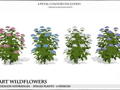 Low Polygon Hydrangeas for Games and Architectural Vis Low-poly 3D model
