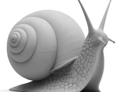Ultra-Realistic Garden Snail 3D Model High-Detail Mollusk  Low-poly 3D model