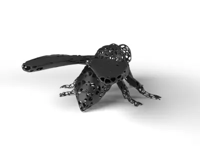 Fly Voronoi Low-poly 3D model