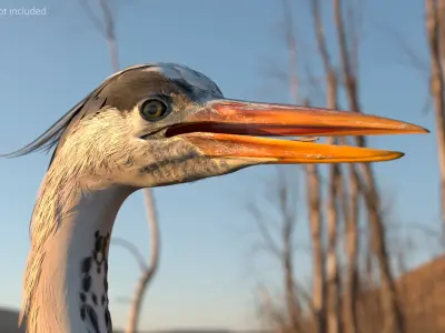  Blue Heron Bird For Blender 