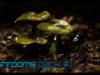 Mushrooms pack 1 Low-poly 3D model