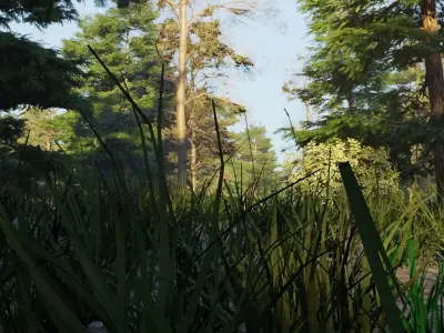 Summer forest 3D model