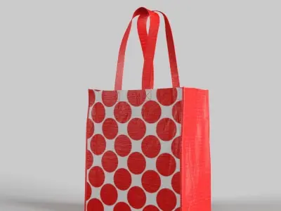 Reusable Bag 3D model