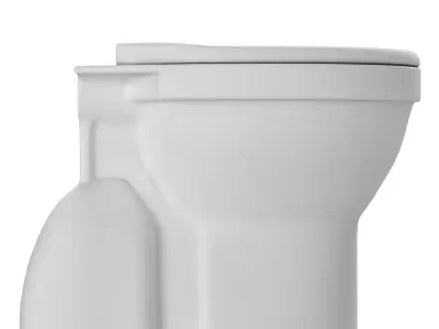 Floor Mount oval shape EWC toilet 3D model Modeled in 3ds max 3D model