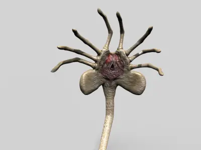 Rigged Alien Xenomorph Facehugger and Egg 3D model