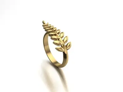 womanring 3D print model