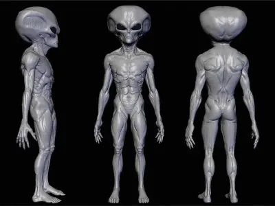 Realistic Alien 7 Sculpt 3D model
