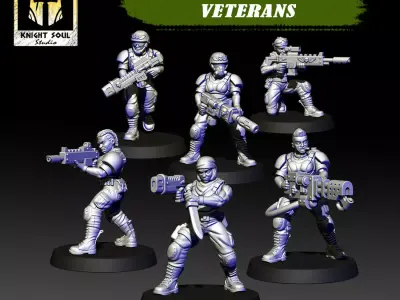 Vanquishers Veterans 3D print model