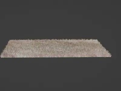 Carpet-Rug piece of wool Low-poly 3D model