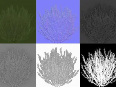 Shrub Rosmarinus 1 Low-poly 3D model