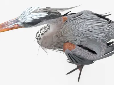  Blue Heron Bird For Blender 