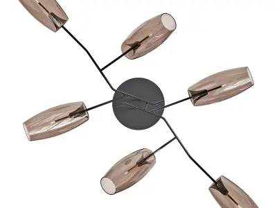 gallotti and radice diantha DH 3D model