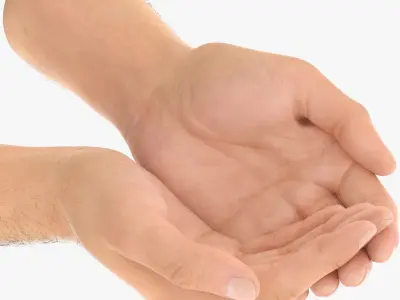  Customizable Rigged and Animated Hands 