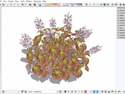 Plant Epimedium x rubrum-Barrenwort Low-poly 3D model