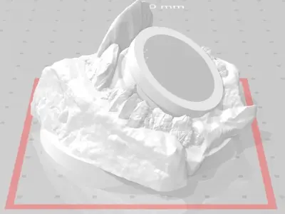 Coral Drop Capsule 3D print model