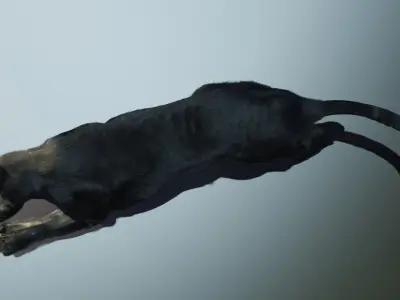 Black Panther 3D Model 3D model