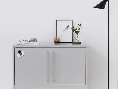 PIDOR cabinet 2 door storage 3D model