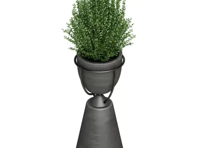 Floor vase with plant Kashpo 3D model