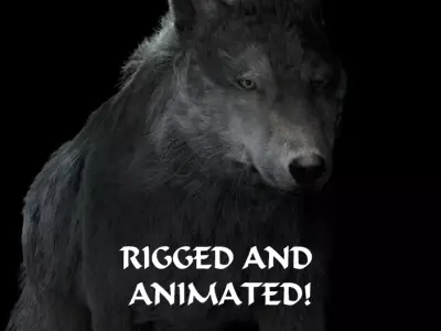 Grey wolf rigged and animated and polar light 3D model