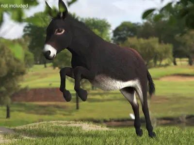  Leaping Domestic Burro Dark Brown Fur 