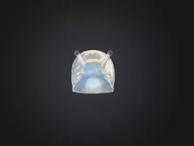 Hydro Slug Low-poly 3D model