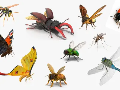  Flying Insects Rigged Collection 5 for Maya 