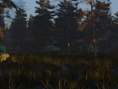 Summer forest 3D model