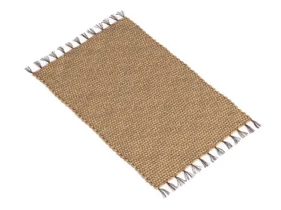 Enora Water Hyacinth Rug 90x60cm RendezVousDeco 3D model