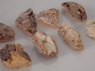 8 3D Scanned Tiny Wood Bark 3D Model Pack