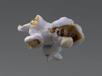  Realistic Popcorn Collection 