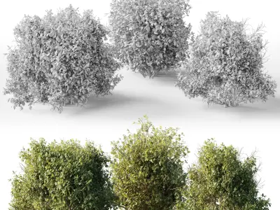 Collection mixed plants bush shrubs set 04 Low-poly 3D model