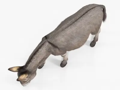  Farm Animals Big Collection 4 