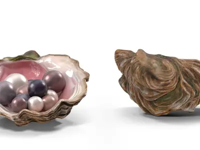  Colored Oyster Shell with Pearls 