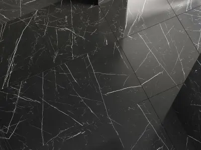 NERO MARQUINA-FGM 3D model