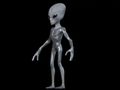 The Grey - omsx 3D model