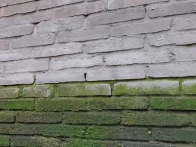 Mossy Painted Brickwall horizontal tile PBR Texture Texture