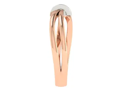RING15 3D print model