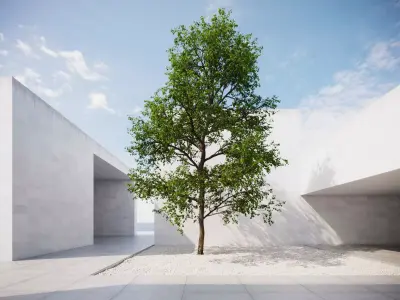 Large forest tree 3D model