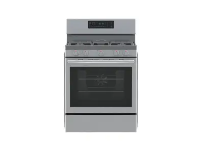 Samsung Gas Range with Convection 3D model